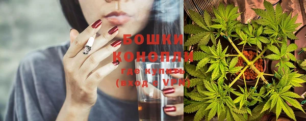 трава Абаза