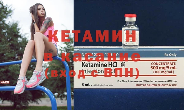 трава Абаза