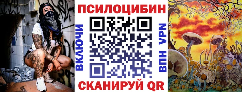 Галлюциногенные грибы Psilocybe  продажа наркотиков  Тутаев 